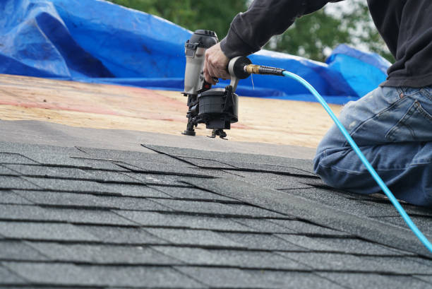 Best Gutter Installation and Repair  in Sesser, IL