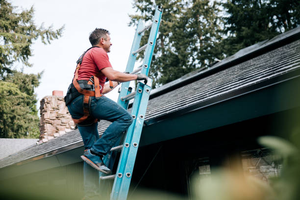 Best Roof Leak Repair  in Sesser, IL