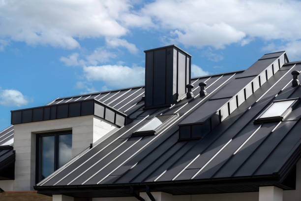 Best Skylight Installation and Repair  in Sesser, IL
